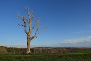 Bildungsurlaub Nationalpark