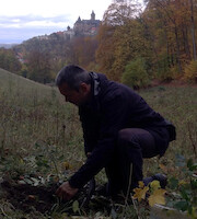 Planting trees