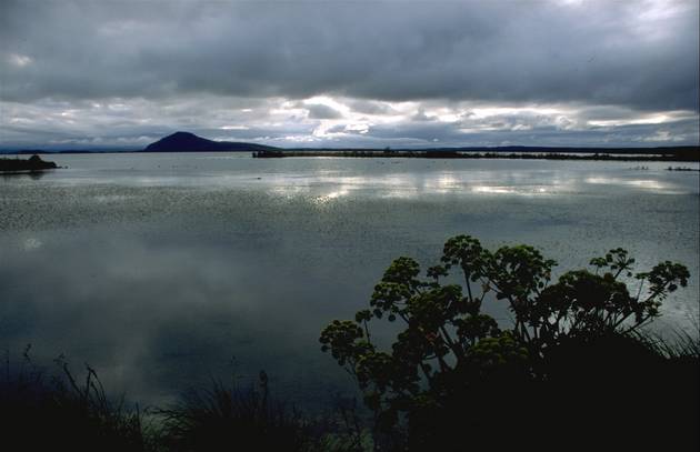 Lake Mývatn