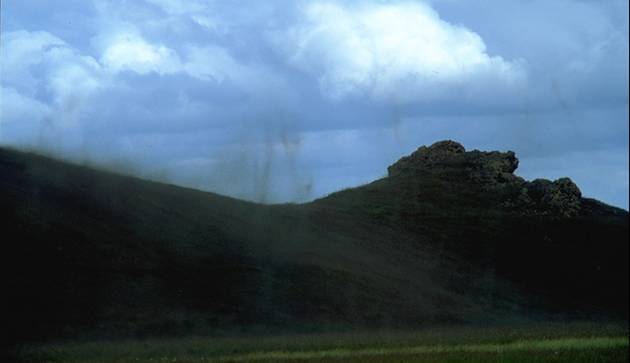 Swarms of midges