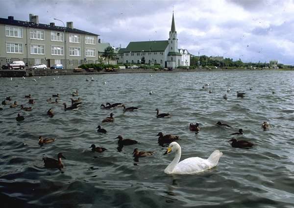 Tjörnin