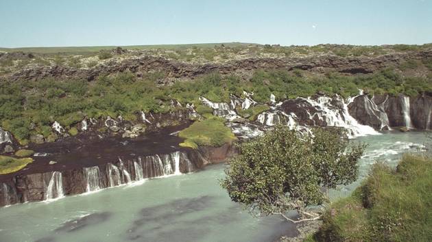 Hraunfossar mit Birke