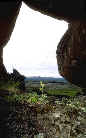 Þingvellir Ebene durch ein Fenster