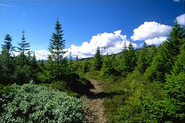 Trail along Fagrabrekka