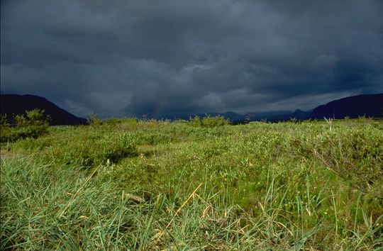 Wetterfront