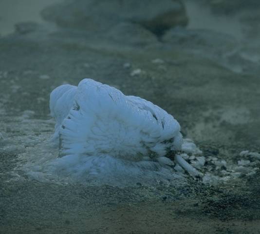 Stone covered with ice