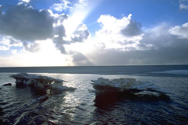 Floe near coast