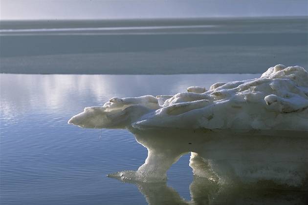 Floe near coast