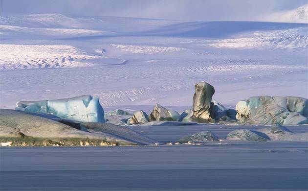 Icebergs in front of the glacier